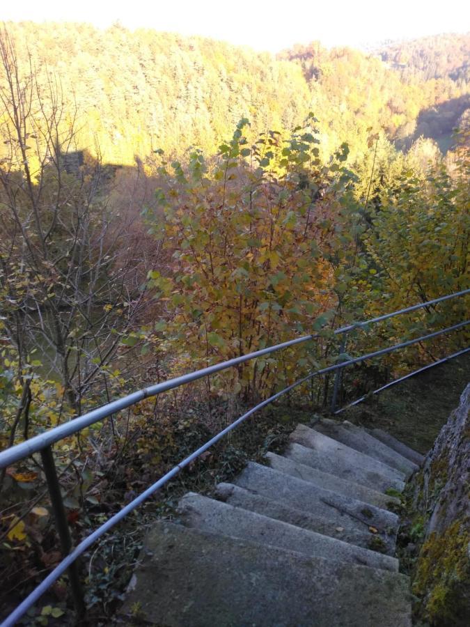Urlaubspension Die Muehle Schollnach ภายนอก รูปภาพ