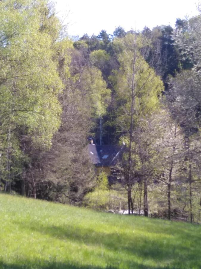 Urlaubspension Die Muehle Schollnach ภายนอก รูปภาพ